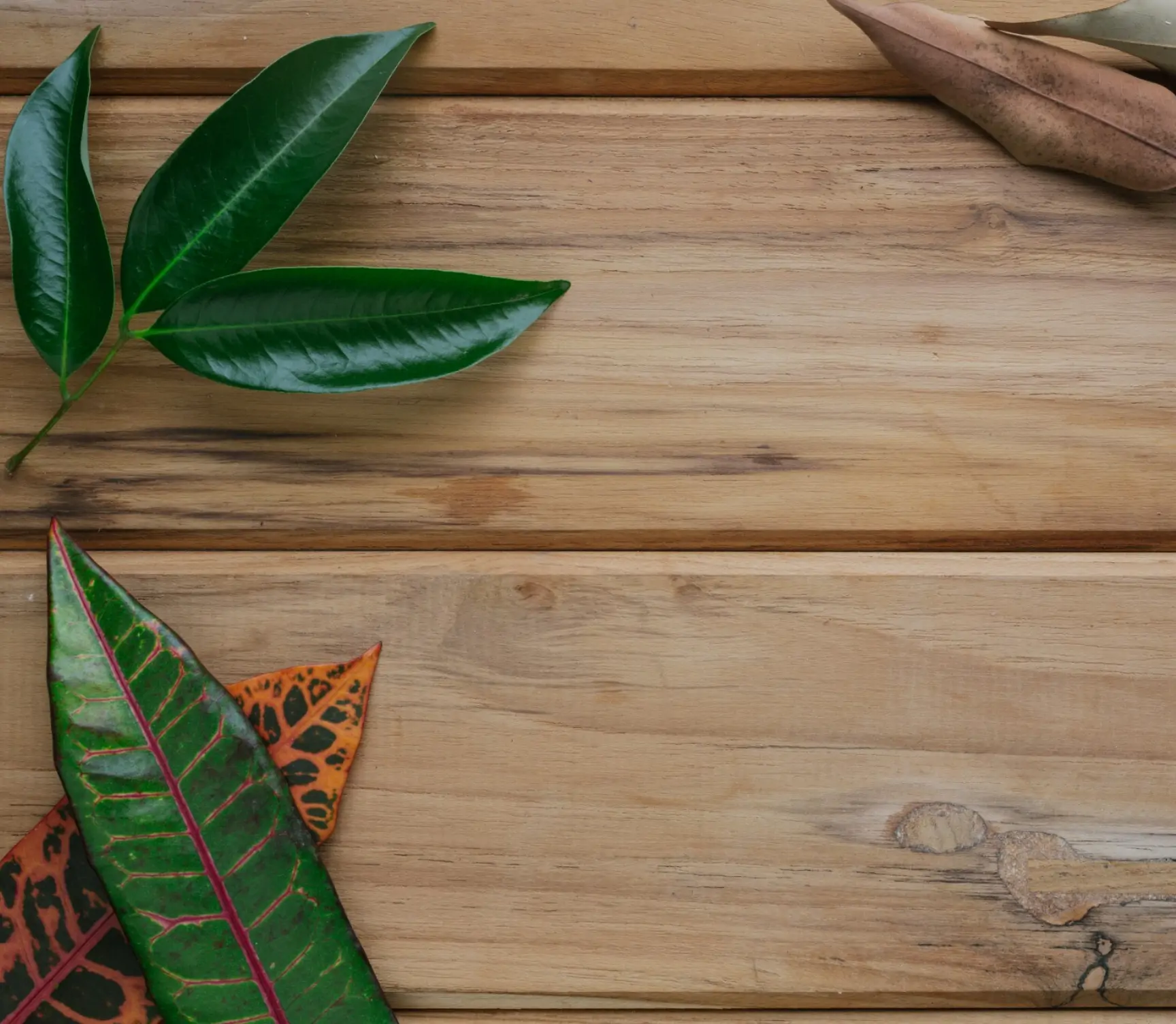 Laminate flooring is the most sustainable flooring type.