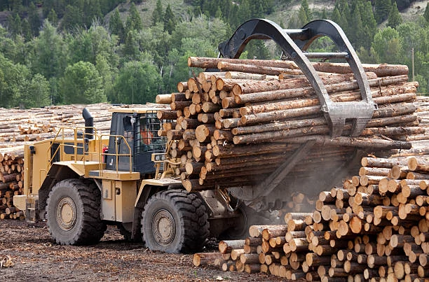raw material to density fiberboard to laminate planks manufacture