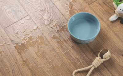Best Waterproof Laminate Flooring Brands That Offer Customization (2025 Guide)