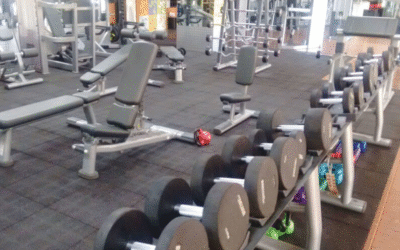 Leading 5 Gym Flooring Suppliers In Canada For Home And Commercial Gyms