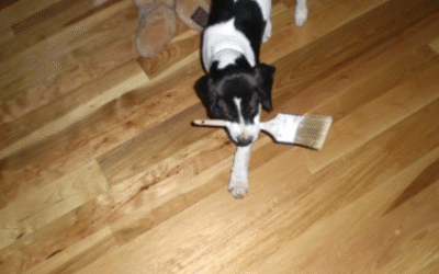 Why Non-Toxic Laminate Flooring Is Best For Families With Allergies And Children