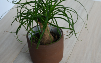 Popular 4 Non-Toxic Laminate Flooring Brands In Ghana (2026)