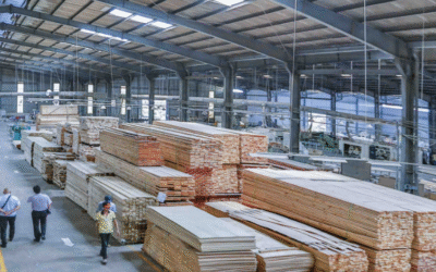 Affordable Moisture-Resistant Melamine MDF Panels  Factories Sources  In Bangladesh
