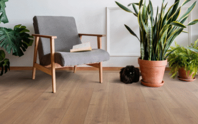 Top 5 Non-Toxic Laminate Flooring Brands In UAE (2026)