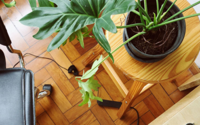 Best 4 Non-Toxic Laminate Flooring Factories In Algeria (2026)