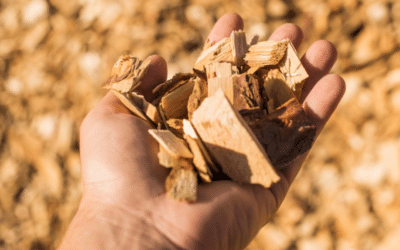 Why MDF Made from Different Wood Species Performs So Differently