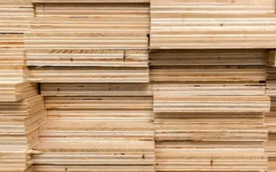 Importation de contreplaqué du Brésil : prix, fournisseurs et guide d’exportation
