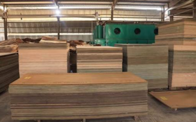 Plywood 10 South Africa Plywood Supply Challenges And Construction Demand