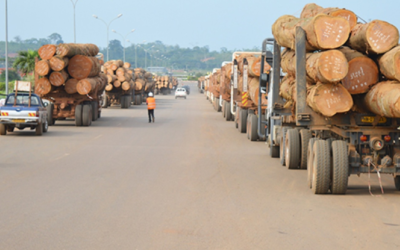 Africa Flooring & Wood Panel Price Guide 2026: South Africa, Nigeria & Kenya Costs, Duties & Trends