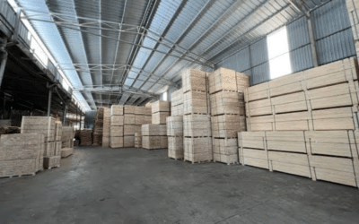 Chile Plywood Supply Chain And Construction Demand Outlook