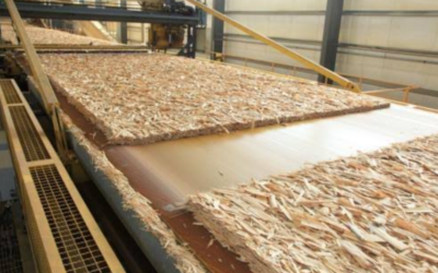 OSB Market Outlook: Supply, Demand & Future Prices
